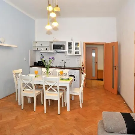 Appartement In Vinohrady Praag
